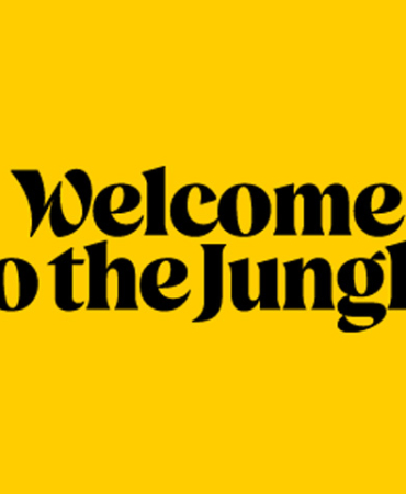 Welcome to the Jungle